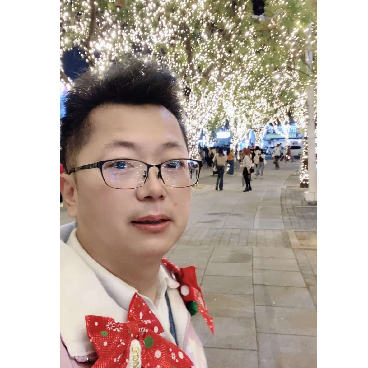 林彥 三民區市議員參選人/高雄市。擬AI智慧議員 中央公園 燈火催燦 12/25