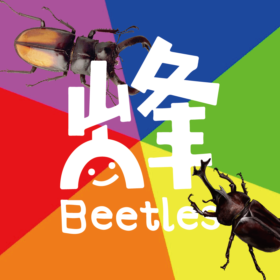 甲蟲迷因區