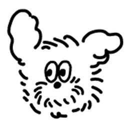 ⁺◟ 歡迎成為小Light打 ⁺◟♡² scootystudio