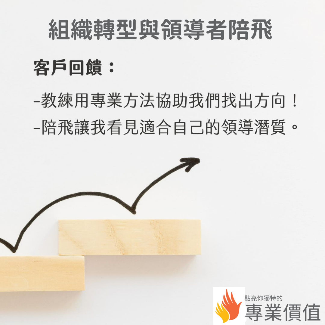 共好玟化組織發展顧問有限公司 組織轉型與領導者陪飛