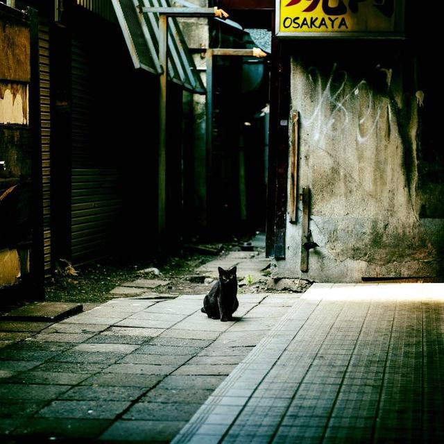 Clarence Chien