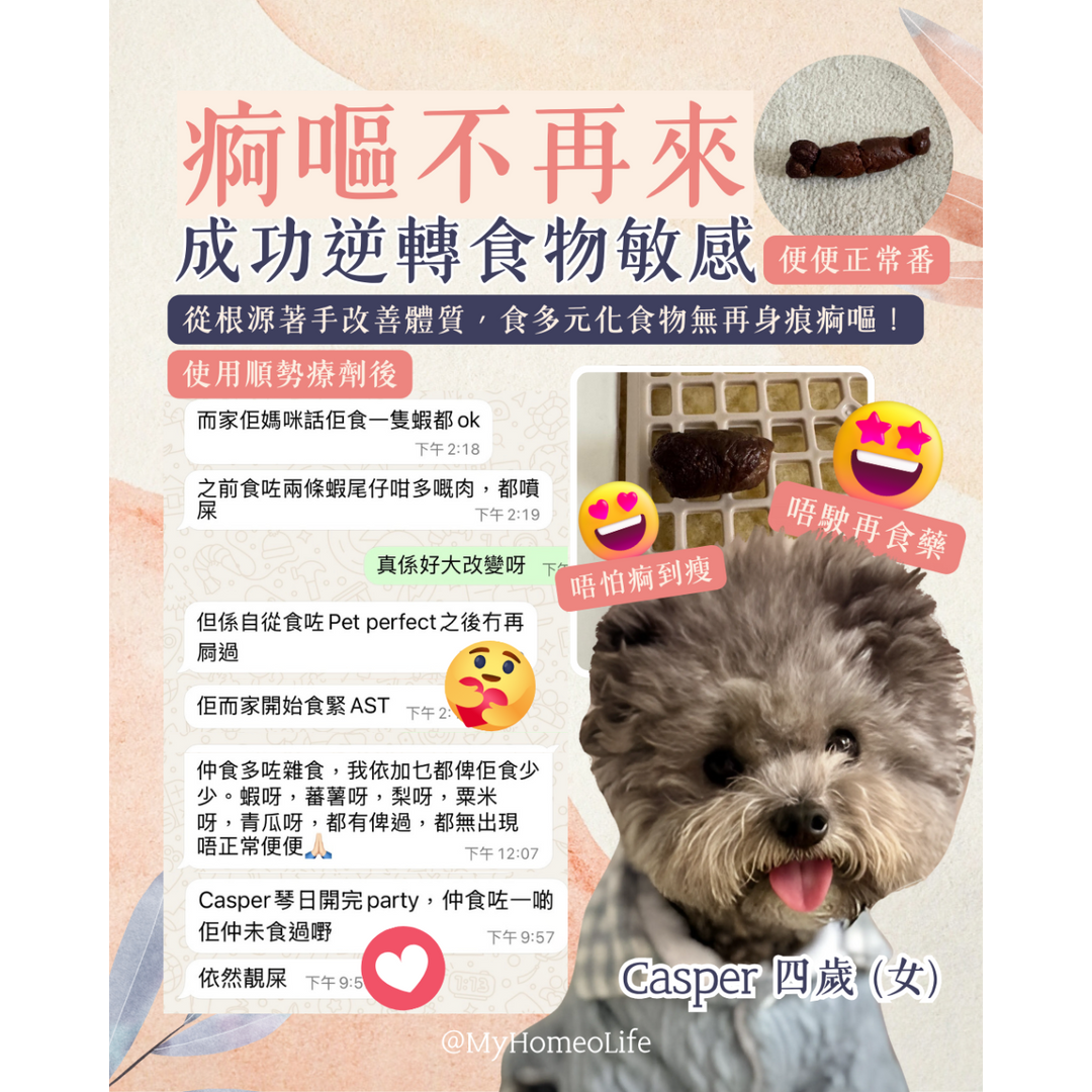 狗皮膚痕 腸胃炎 寵物治療 順勢療法 自然療法