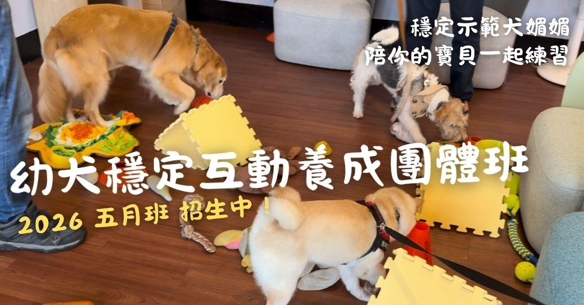 台灣狗語 Doglish.tw