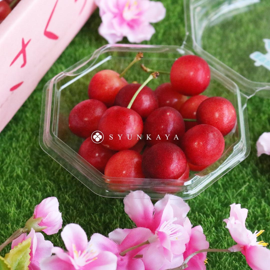 旬果屋 Syunkaya 美國酪梨