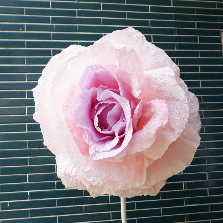 韓國證書課、巨型紙花藝術、巨型紙花、芍藥燈花、紙花藝術、紙花花藝、場佈