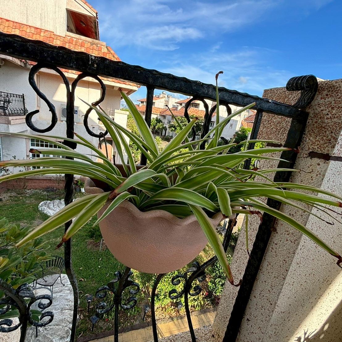 JUST RIGHT INN 恰好Just Right Inn周邊剪影