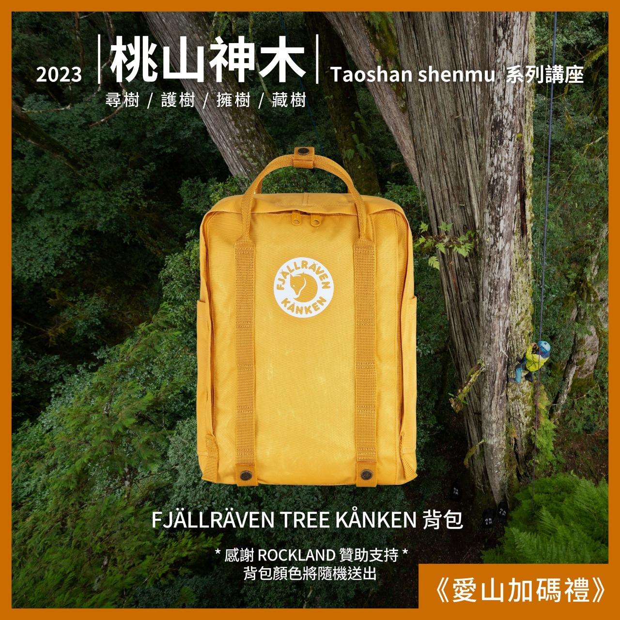 桃山神木｜撞到月亮的樹 點選參加抽獎