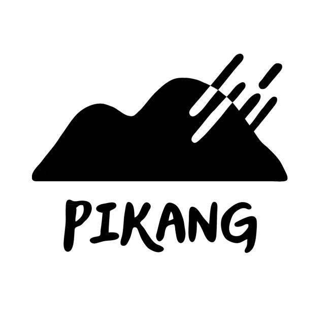 皮康 Pikang