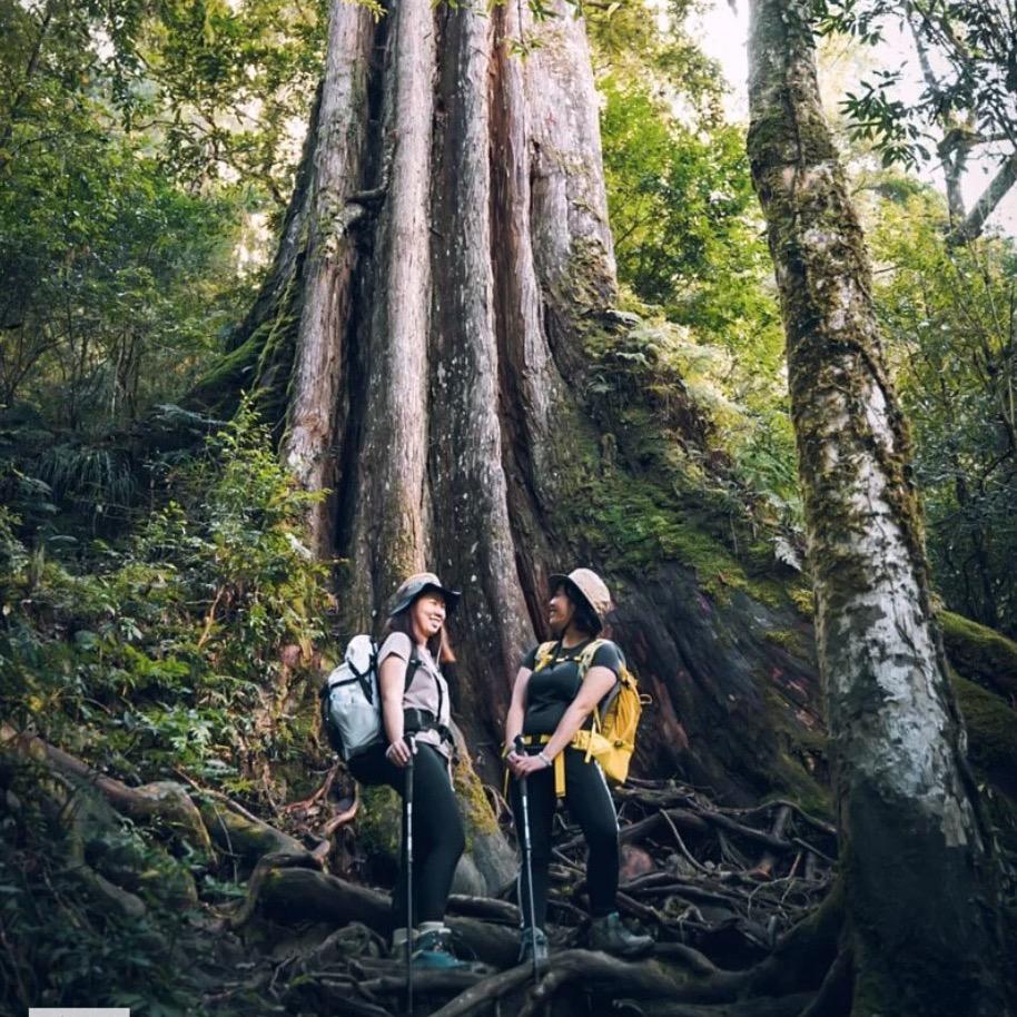 PINKOI EXPERIENCE 露營 登山 爬山 旅遊景點