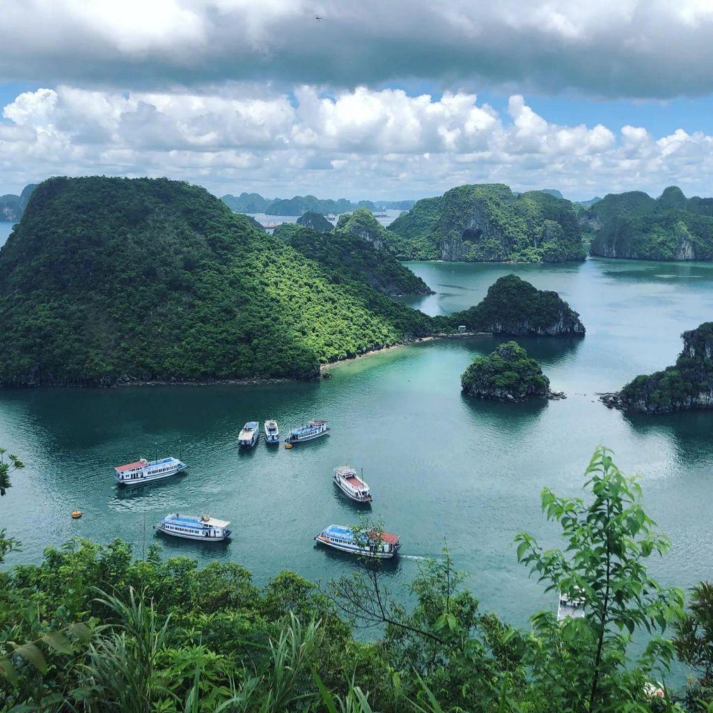 TY.Lin TY Lin’s Portfolio | a muti-player in UIUX/PM/AI/ML