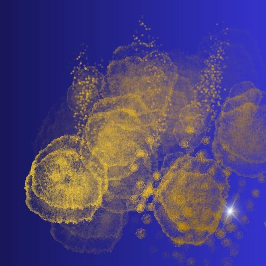 點我預約 金錢關係諮詢