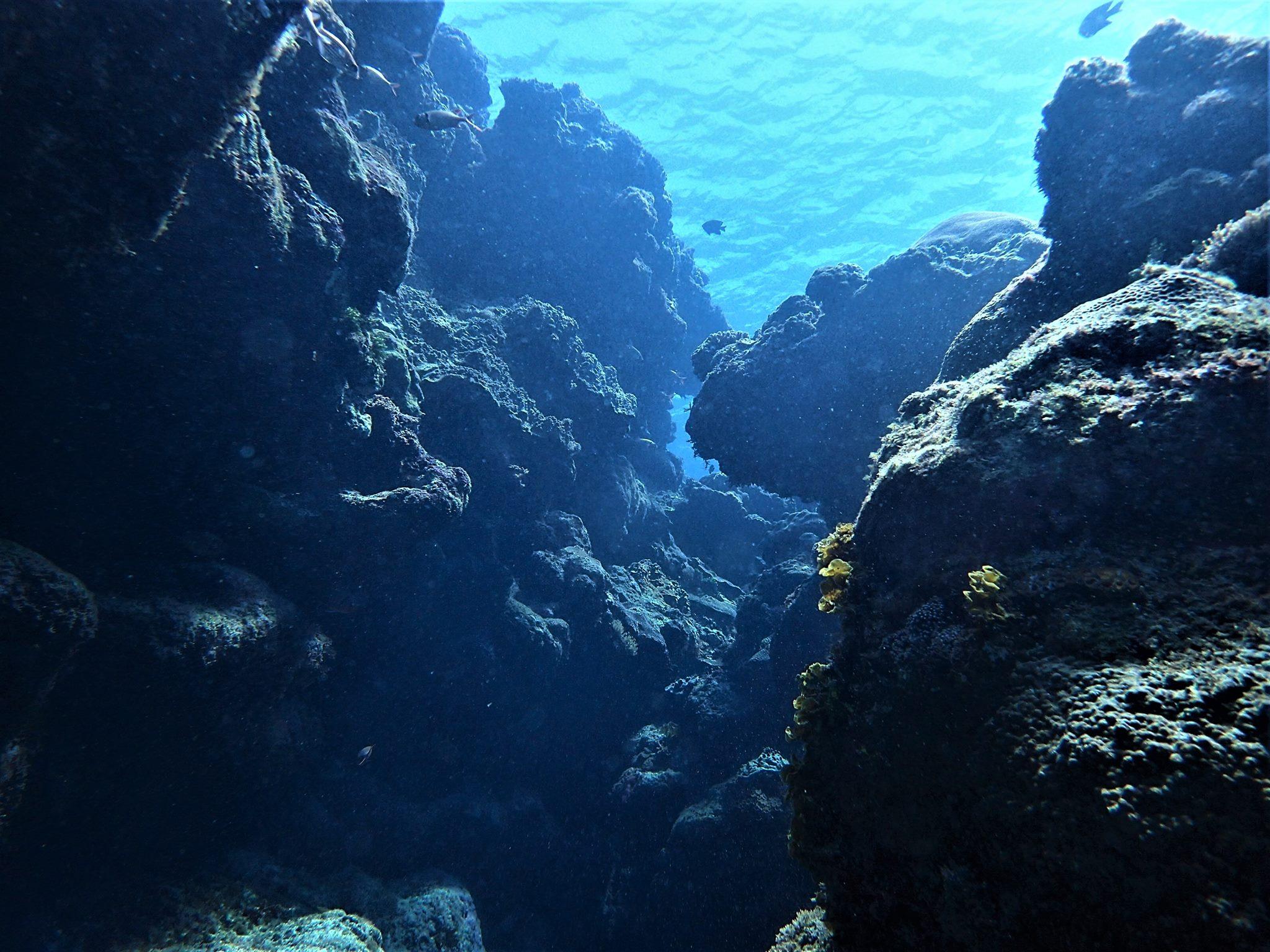 綠島怪獸潛水 Monster Diving