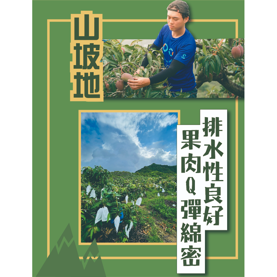 超芒人農場