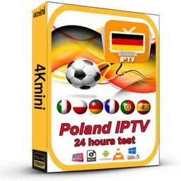 1 Year 4KMINI IPTV Subscription for PL DE FR EU