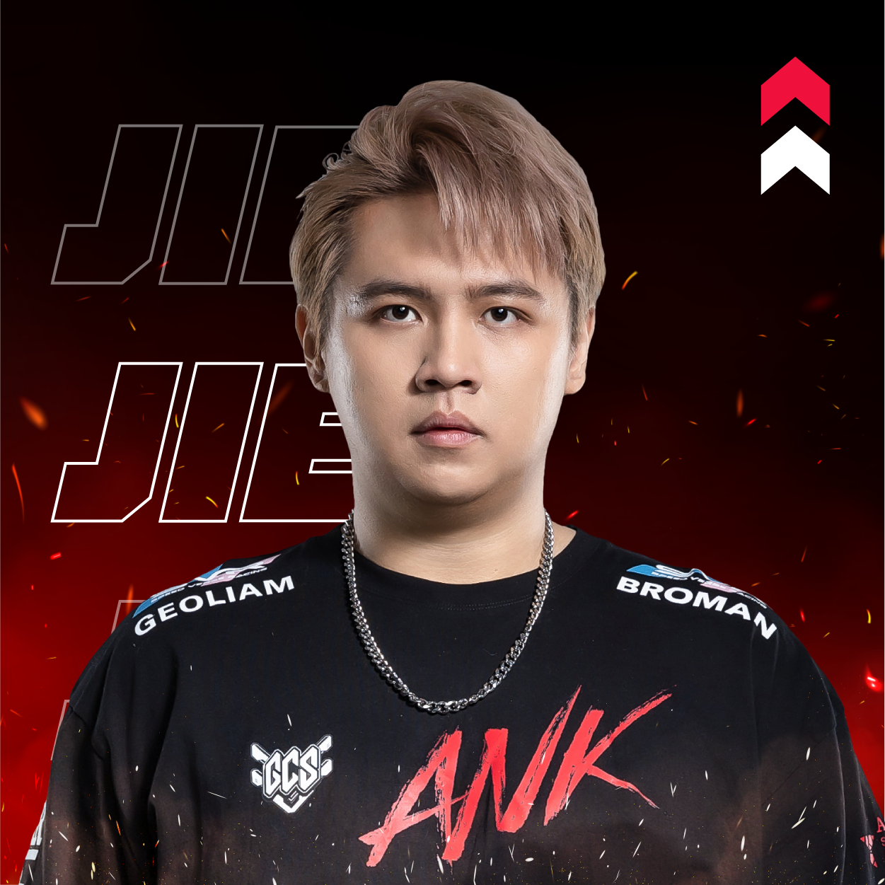 ANK Gaming 電競職業戰隊