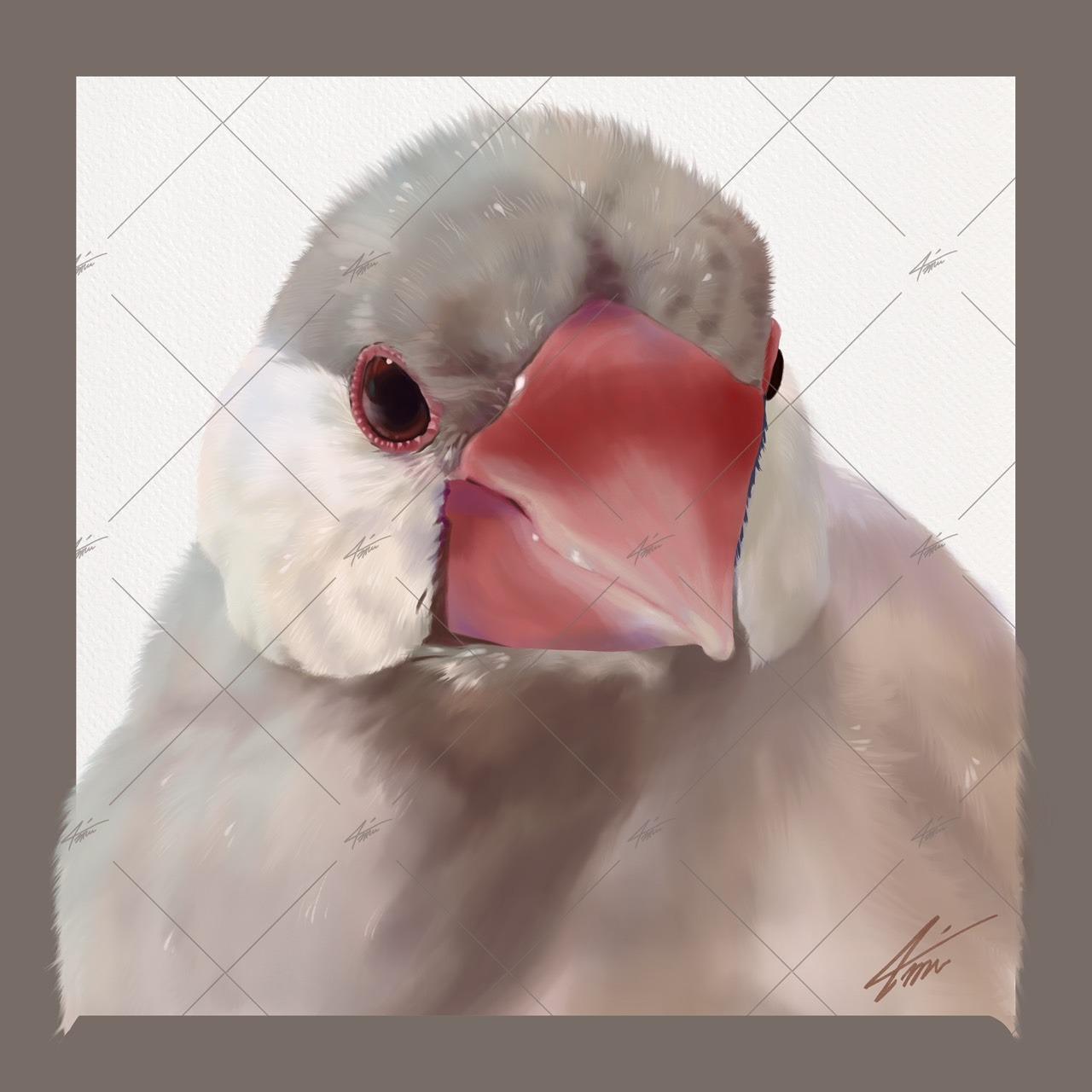 戴圍兜兜的貓 מּ ≋𝒞𝓵𝓪𝓾𝓭𝓲𝓪 𝓛𝓲𝓷 ৲ 4𝓶𝓾 ≋ 5000×5000，300dpi，jpg，RGB