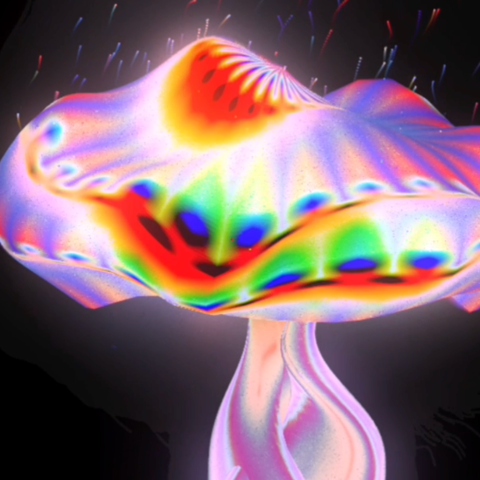 KIKI WU Interactive magic mushroom