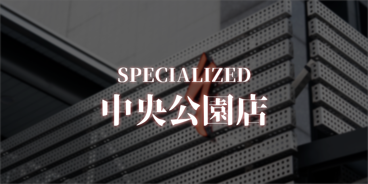 巡揚單車
