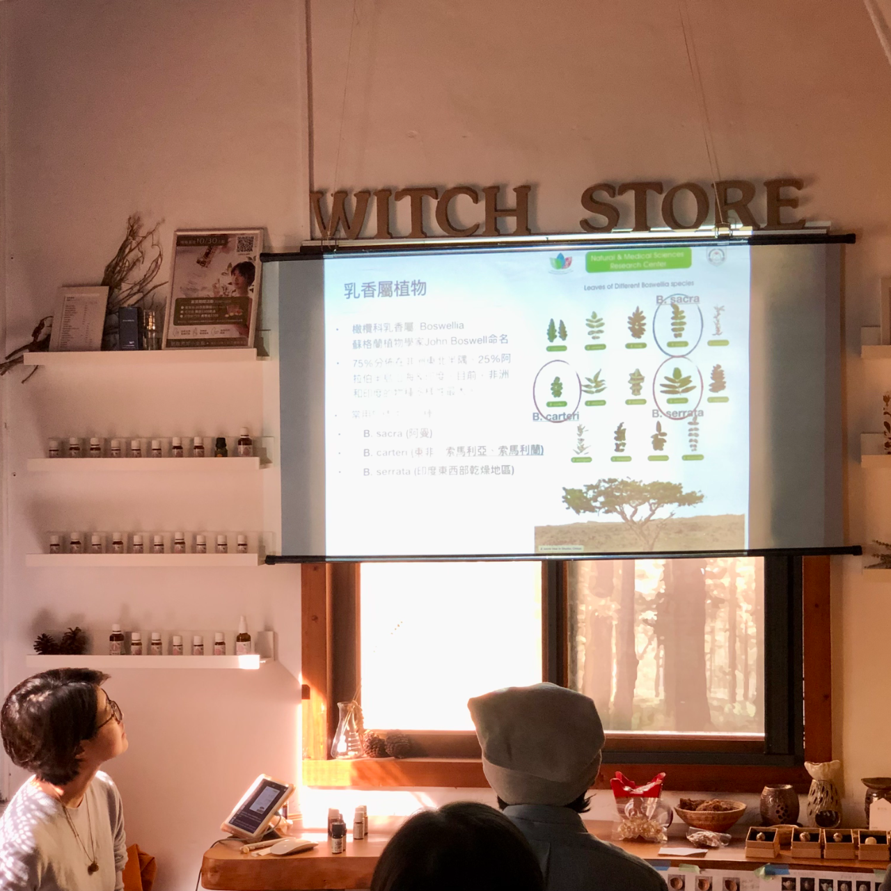 魔女的香草園芳療日常 講座合作