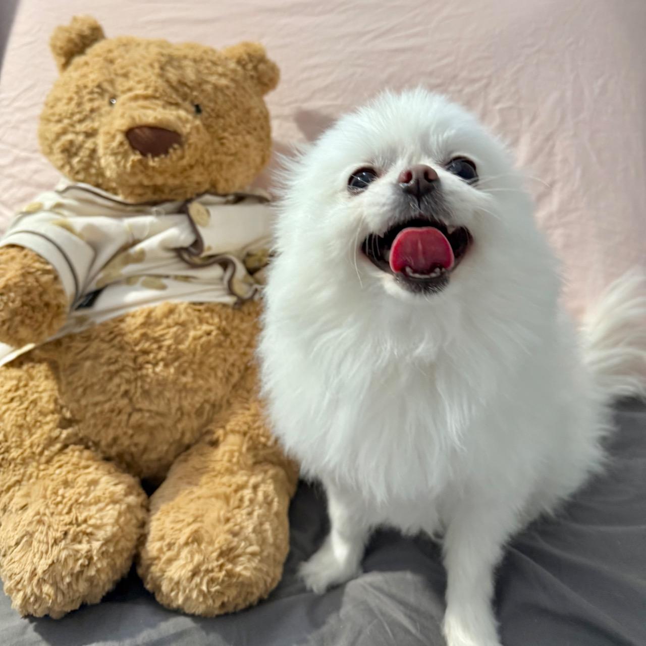 Sniff & Smile
