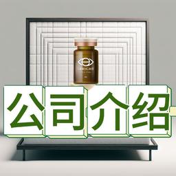 中国新零创+门店加盟计划 全新模式