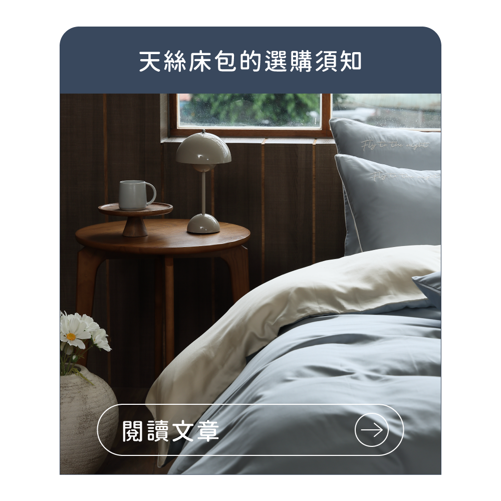 飛航模飾 Flight Mode