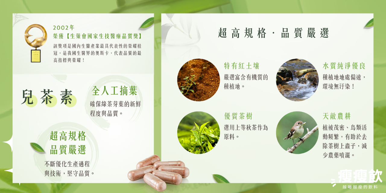 釋迦 ＃纖瘦飲＃減脂肪＃提高代謝＃綠茶兒茶素＃綠茶